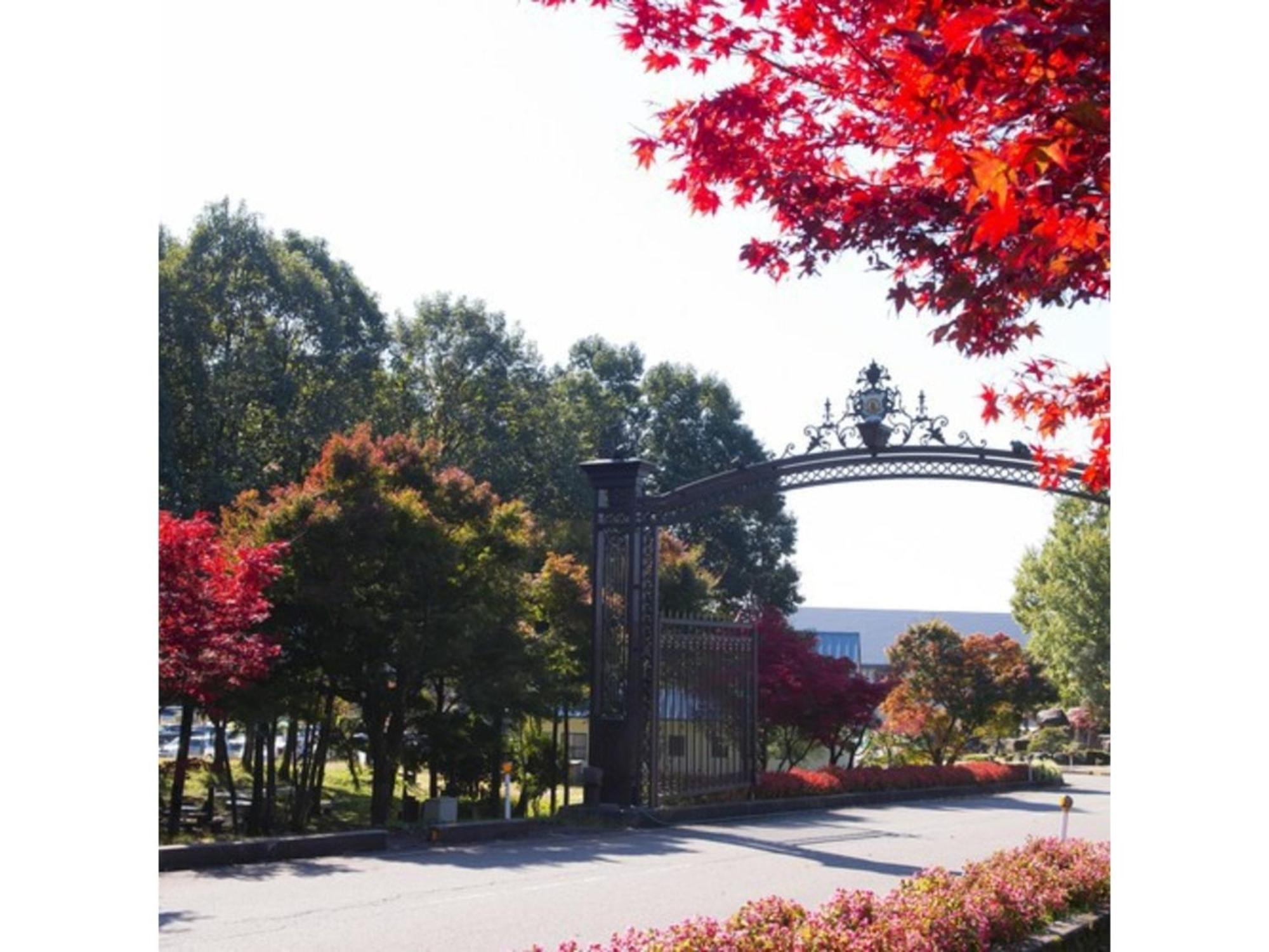 Shintainai Onsen Royal Tainai Park Hotel - Vacation Stay 90212V Exterior photo