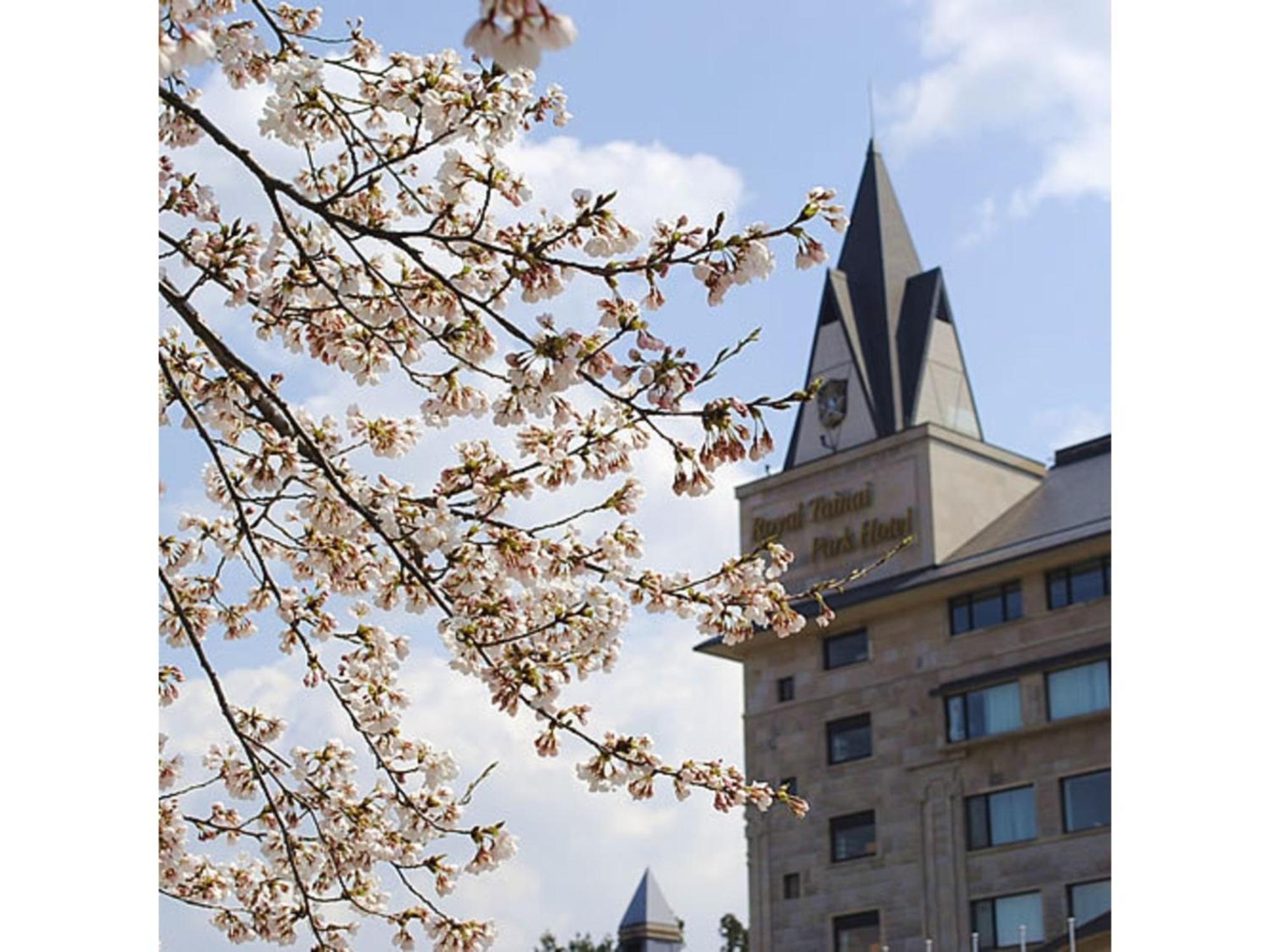Shintainai Onsen Royal Tainai Park Hotel - Vacation Stay 90212V Exterior photo